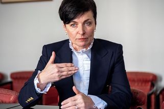 Bradáčová neuspěla s dovoláním v kauze smrtelné nehody podnikatele Pelce - Novinky