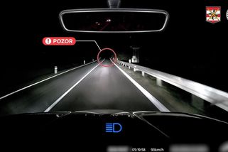Jak zahnat srny od silnice. Policisté zveřejnili video - Novinky