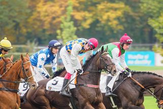 Velká pardubická 2026: deset koní, které uvidíte v neděli — kdo je kdo a o kolik se poběží - Médium.cz