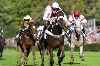Faltejsek zaútočí na Váňův rekord ve Velké pardubické. Startovní pole nabízí i jedno pikantní spojení - Sport.cz