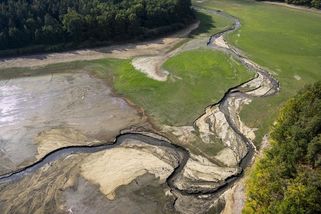 Sucho může stát Česko až 50 miliard - Novinky