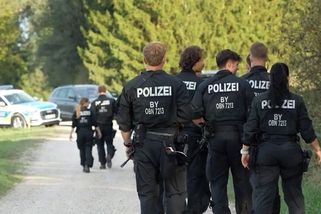 Puma? Německá policie pátrá po kočkovité šelmě nedaleko mnichovského letiště - Novinky