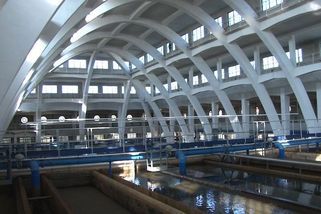 Česko jako výnosná lokalita. Na dividendách už letos odteklo přes 300 miliard - Novinky