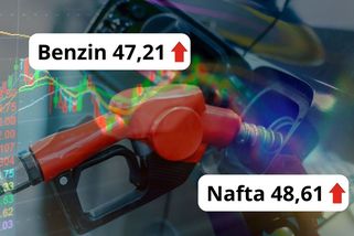 Ceny benzinu a nafty letí nahoru! Vládním stropům navzdory