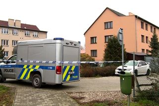 Za útok sekerou dostal jen podmínku. Po letech si senior na sousedku počíhal a umlátil ji tyčí