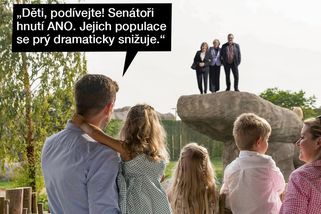 TMBK: Hnutí ANO po volbách řeší, co dál - Seznam Zprávy