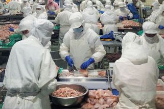 O tisíce levnější než Brazílie. Čína zaplavuje trh přebytkovým drůbežím masem - Seznam Zprávy