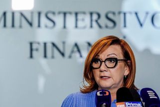 Zákon roku? Aby se v něm prase vyznalo! - Seznam Zprávy