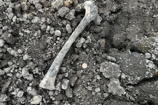 Lidské kosti trčí z výkopu u chrámu sv. Jiljí. Velká neúcta, říká historik