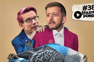 Šťastné pondělí: Jak zachránit ODS? Kupka už škemrá u Rakušana - Seznam Zprávy