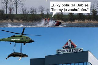 TMBK: Změna názoru. Babiš nakonec velrybě pomůže - Seznam Zprávy