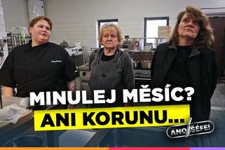 Tohle by ani pes nejedl. Drsná kritika vyhořelé kuchařky v Ano, šéfe! | Ano, šéfe!