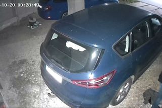 Policie dopadla dvojici, která vykrádala domy pod Pálavou - Novinky