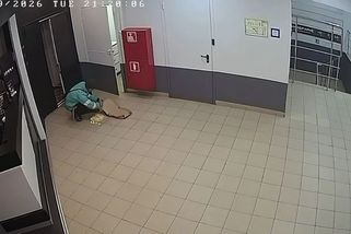 Kurýrovi v Rusku vypadla pizza na zem, vrátil ji do krabice a bez zaváhání doručil - Novinky