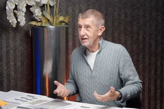 „Jsou koně chovní a tažní, volby nedopadly bůhvíco...