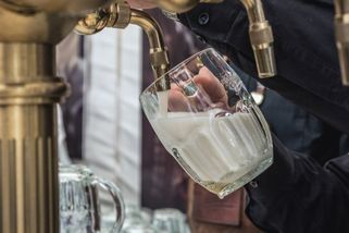 Konec dohadům o nejlepší pivo. Odborná porota určila favority mezi ležáky, desítkami i nealkem