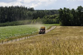 Přínos dotací na zemědělský výzkum nikdo neřešil, stačilo teoretizovat - Novinky