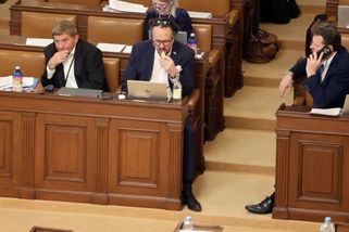 sinmed.cz/politika/trinact-poslancu-ve-snemovne-ani-jednou-nepromluvilo-zokej-vana-i-vsichni-ostatni-jsou-z-ano-1334.html?utm_source=www.seznam.cz&utm_medium=seznam_distribuce&utm_campaign=lide