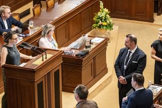 Bouřlivé interpelace: Co si to sakra dovolujete? Pirátku vytočil Metnar, osočil ji ze lži