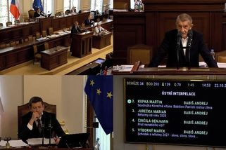 Komunisty už nepotřebujeme, je tu ANO, vysvětloval Babiš přestup Konečné k Patriotům - Novinky
