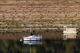 Tady „bývala“ orlická přehrada. Teď je tu planina pařezů a mezi nimi lodě - Seznam Zprávy