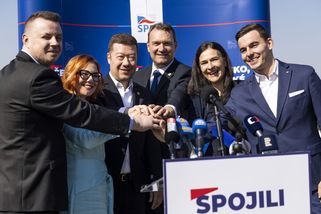 SPD se spojuje s menšími stranami. Zbavuje se konkurence, míní politolog - Seznam Zprávy