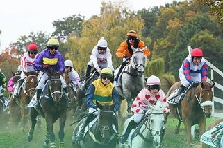 ANALÝZA: Málo koní na startu Velké? Zranění i faktor Napajedla - Sport.cz