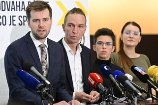 Hnusnej podraz, zní od Pirátů. Ve vládě skončí - Seznam Zprávy