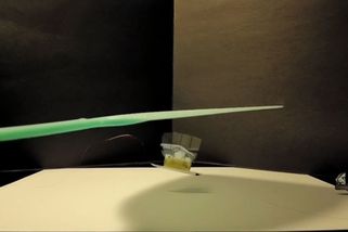 Ani plácačka ho nezastavila. Létající robot velikosti hmyzu přežil tvrdé testy