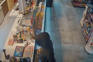 Pracovnice benzínky na Slovensku se postavila zloději a poprala se s ním o kasu. Zachytila to kamera - Novinky