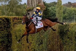Sportovní tragédie na Pardubické. Vedl s obrovským náskokem, pak přišla neuvěřitelná chyba