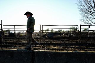 Trumpova vláda je jen snůška keců a divadýlko, říká „prezidentův“ farmář - Seznam Zprávy