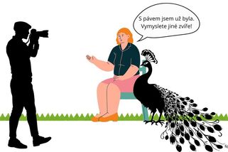 Vtip: nafrněná Schillerová - Médium.cz