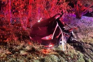 Auto se po nárazu rozpůlilo. Na jihu Čech zahynul řidič audi - Novinky