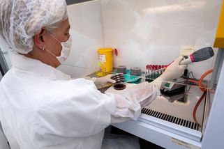 Policejní hromadné odběry DNA jako zásah do soukromí. České právo zatím mlčí - Seznam Zprávy