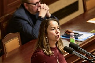Koalice brání opozičním místopředsedům sněmovny ří...