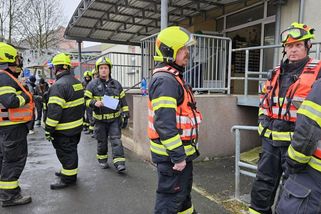 V Sokolově vyhořel byt v paneláku, dvě kočky nepřežily - Novinky