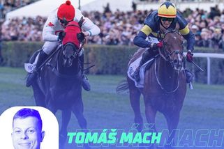 GLOSA: Zase mu vypálil rybník! Ir znovu zničil Faltejskův sen o historickém triumfu ve Velké pardubické - Sport.cz