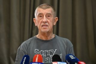 Spolek Milion chvilek odmítá, že by zveřejnil Babišovo číslo | ČeskéNoviny.cz
