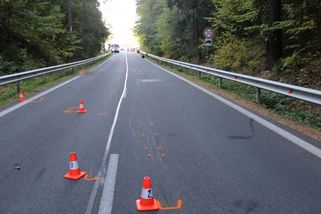 Dvojice na motorce se u Kružberku srazila se zvěří, svědek je našel v bezvědomí - Novinky