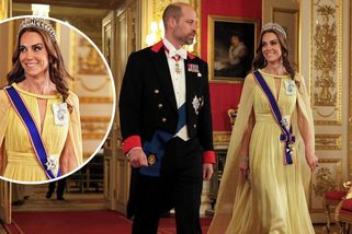 Všichni se dívali jen na ni. Princezna Kate na večeři se sultánem oslnila v nepřehlédnutelných šatech