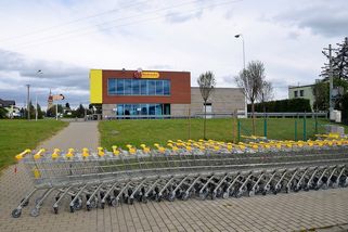 Polská Biedronka se chystá do Česka. Dveře jí může otevřít Tesco