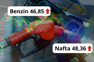 Vládní stropy nefungují, benzin a nafta dál zdražují! - Garáž.cz