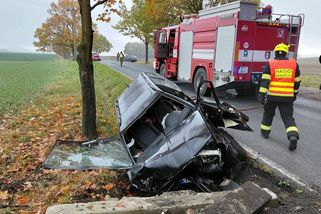 Nikdo nebyl připoutaný. Při předjíždění na Rokycansku se těžce zranily matka a dvě děti - Novinky